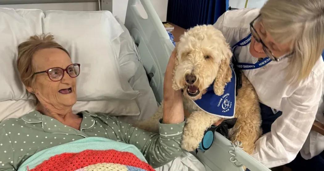 Therapy Dog Ted Brings Joy to Patients at Queen Elizabeth Hospital