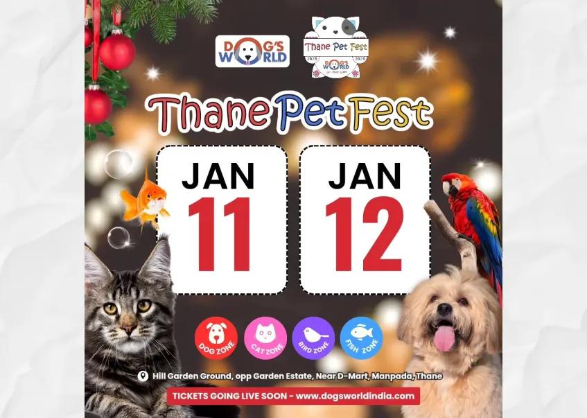 Thane Pet Fest 2025