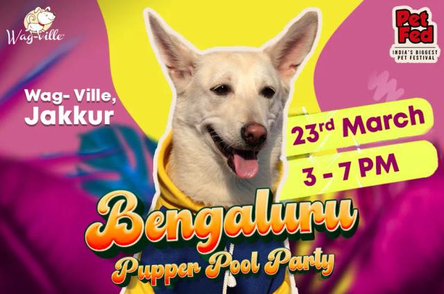 Bengaluru Pupper Pool Party