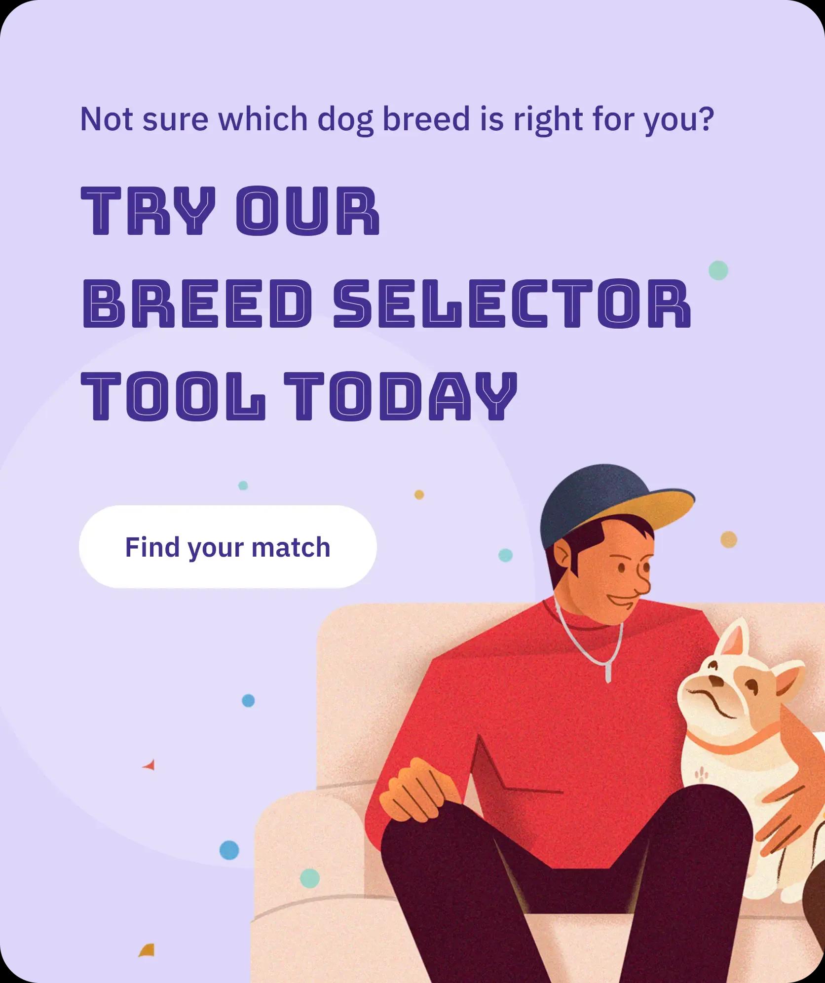 breed-selector-tool